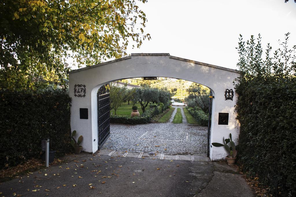 Il Pettirosso B&B Grottaferrata Eksteriør bilde