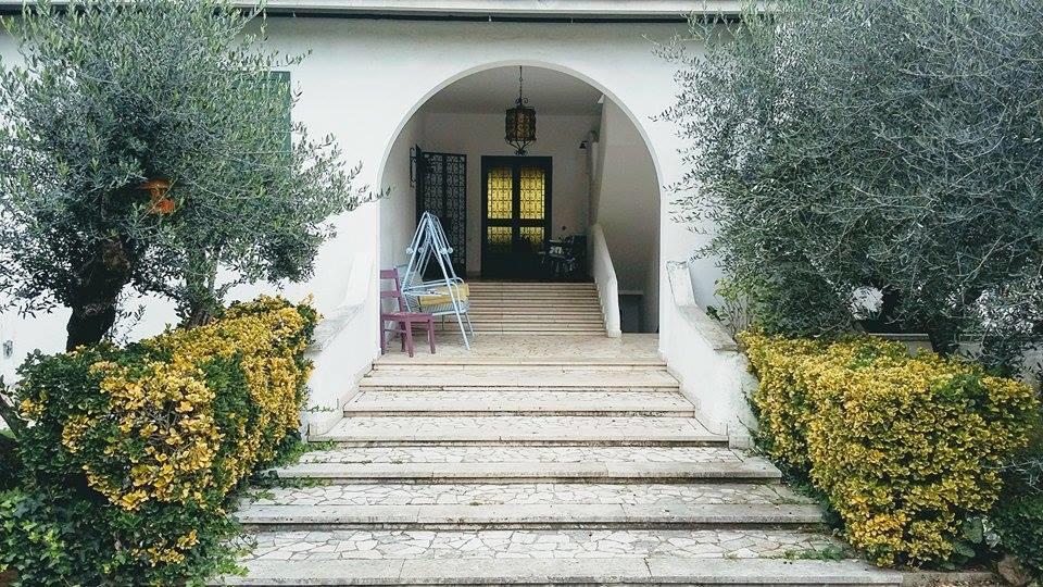 Il Pettirosso B&B Grottaferrata Eksteriør bilde